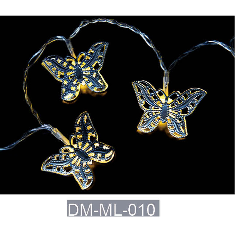 DM-ML-010