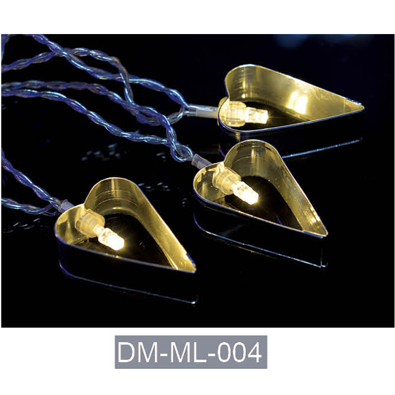 DM-ML-004